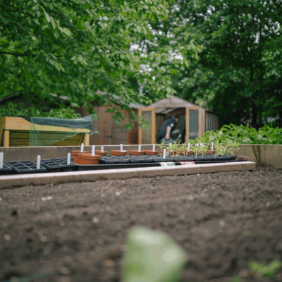 Residential Premium Image