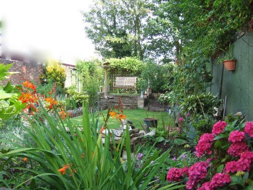 Residential Premium Image