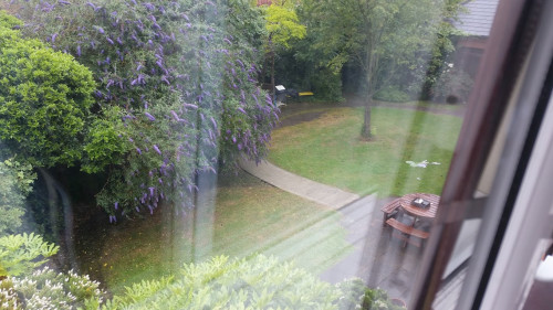 Residential Premium Image