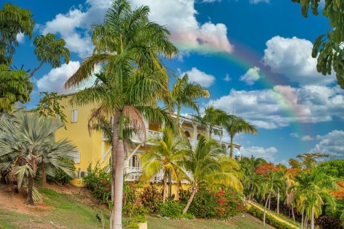 Residential Premium Image