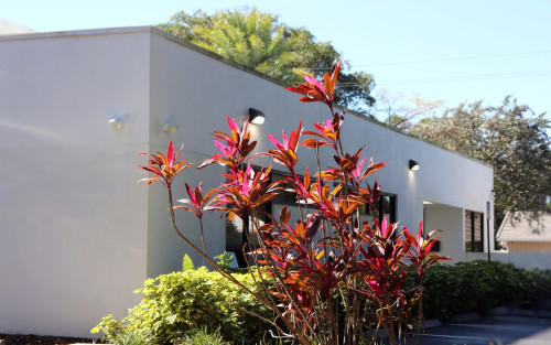 Residential Premium Image