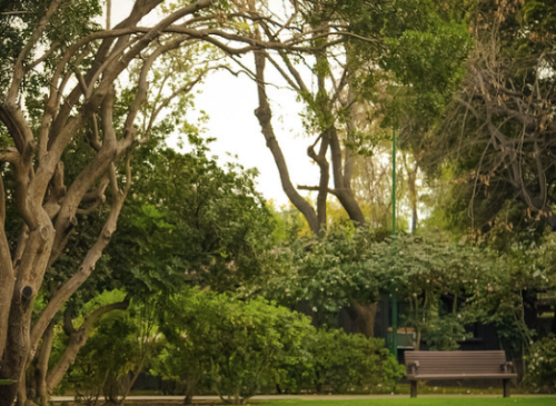Residential Premium Image