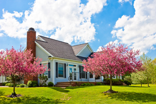 Residential Premium Main Image