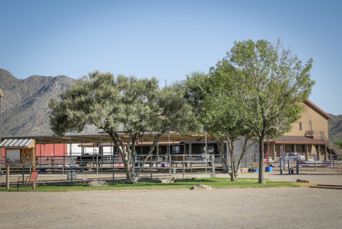 Residential Premium Image