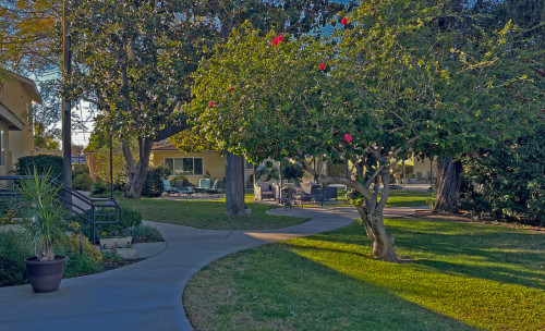 Residential Premium Main Image