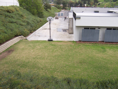 Residential Premium Image