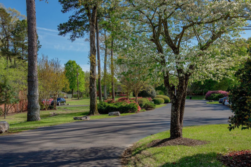 Residential Premium Image