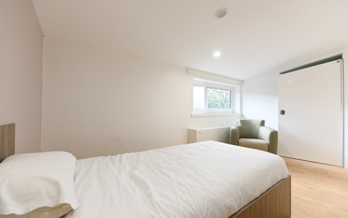 Residential Premium Image