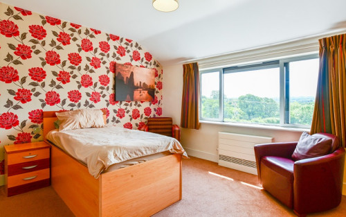 Residential Premium Image