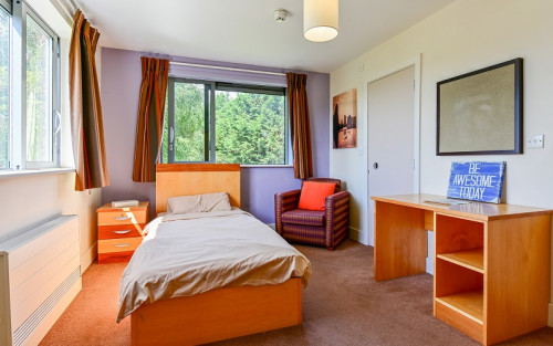 Residential Premium Image