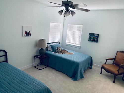 Residential Premium Image