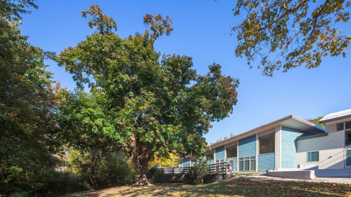 Residential Premium Main Image