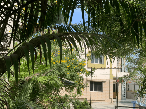 Residential Premium Main Image