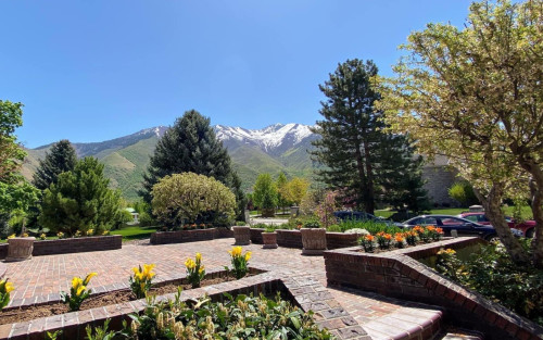 Residential Premium Image