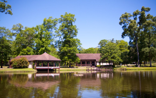 Residential Premium Main Image