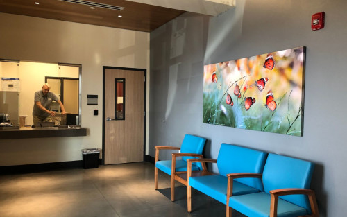 Residential Premium Image
