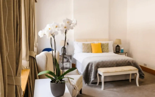 Residential Premium Image