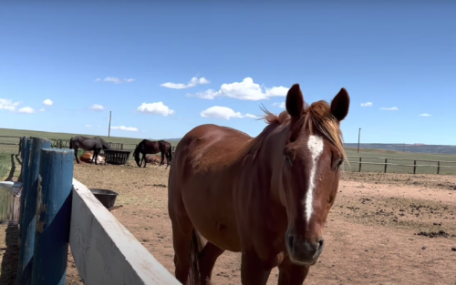 Residential Premium Main Image