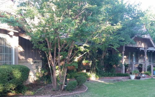 Residential Premium Image