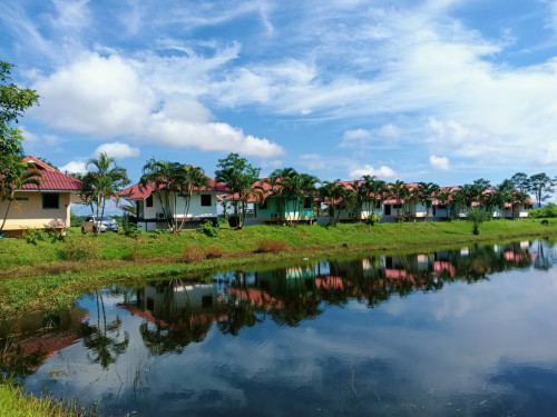 Residential Premium Image