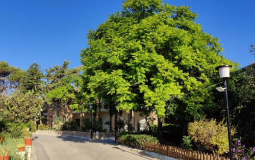 Residential Premium Image