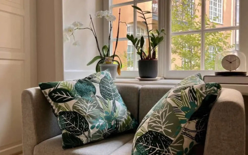 Residential Premium Image