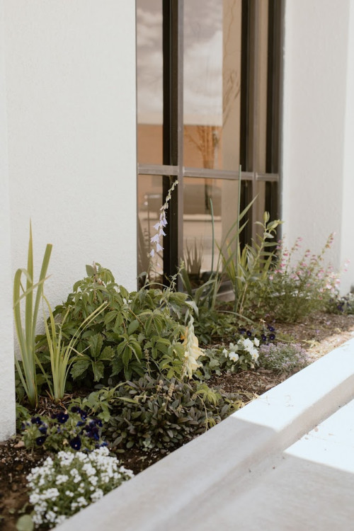 Residential Premium Image
