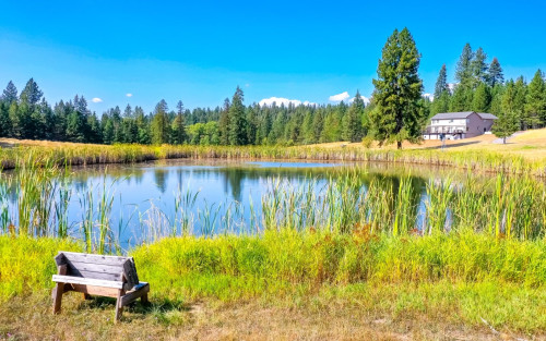 Residential Premium Main Image