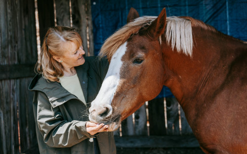 Residential Premium Image