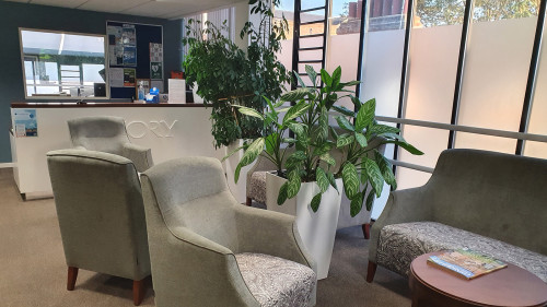 Residential Premium Image