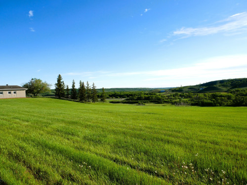 Residential Premium Image