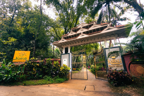 Residential Premium Image