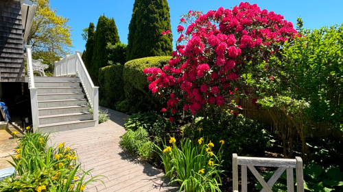 Residential Premium Image