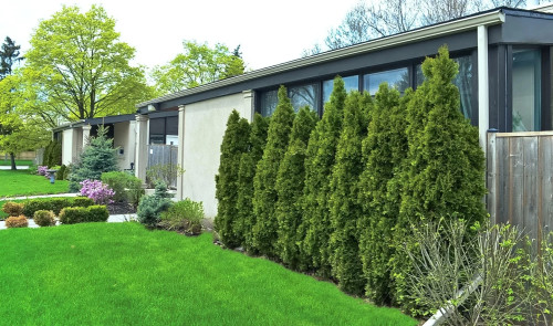 Residential Premium Main Image