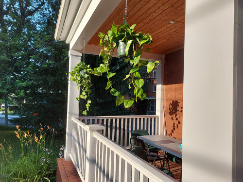 Residential Premium Image