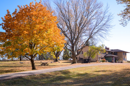 Residential Premium Image