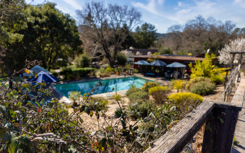 Residential Premium Image