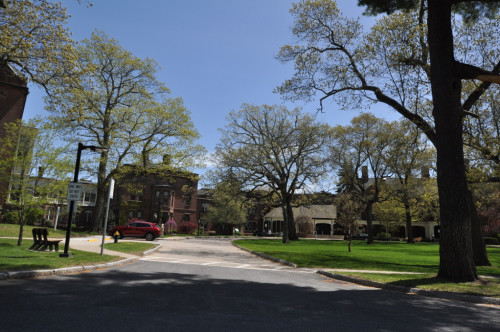 Residential Premium Main Image