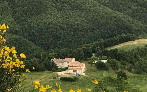 Residential Premium Image