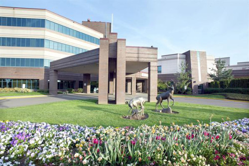 Residential Premium Main Image