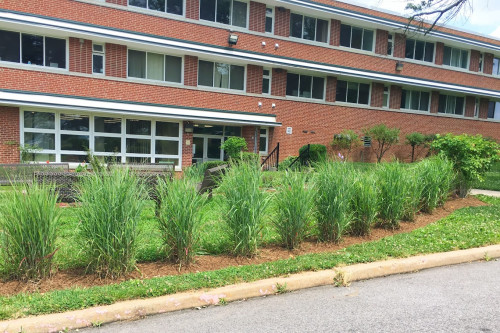 Residential Premium Main Image