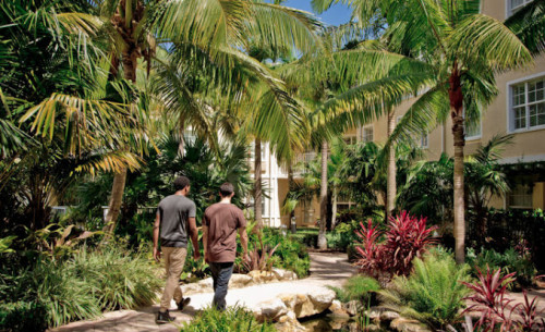 Residential Premium Image