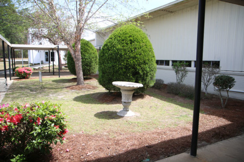 Residential Premium Main Image