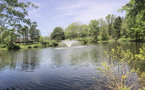 Residential Premium Image