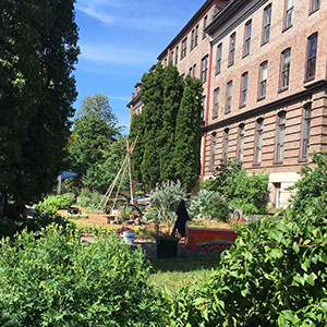 Residential Premium Image