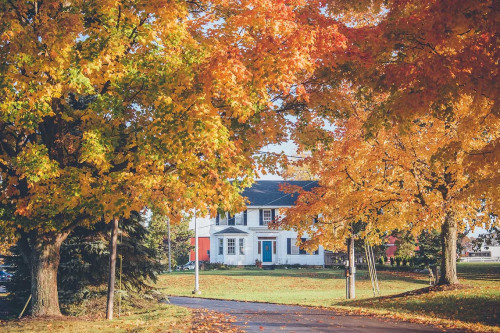Residential Premium Image