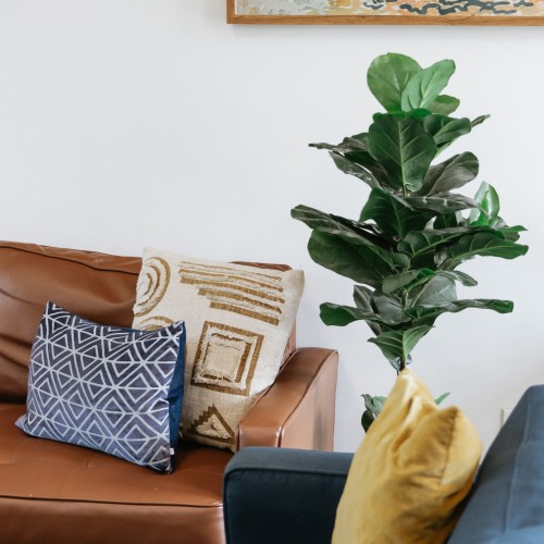 Residential Premium Main Image