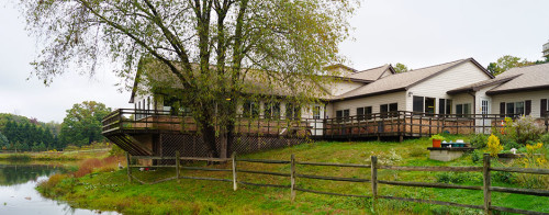 Residential Premium Image