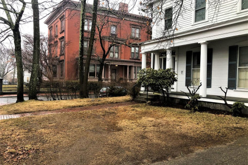 Residential Premium Image