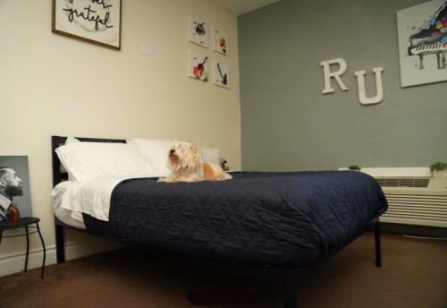 Residential Premium Image